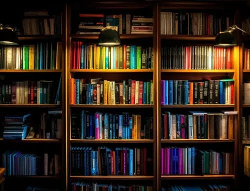 A bright, and somehow dramatic-looking bookshelf