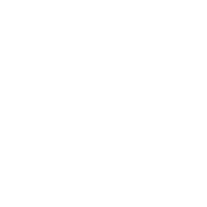 Intrust Logo