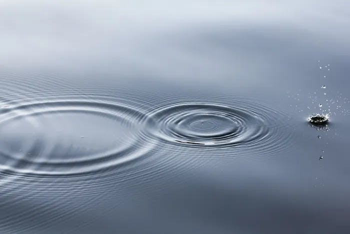 Drops of water on a still body of water.