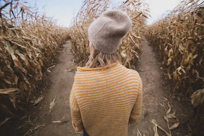 a person standing in a corn field