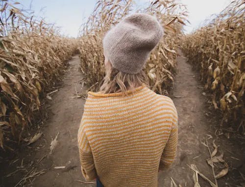 a person standing in a corn field
