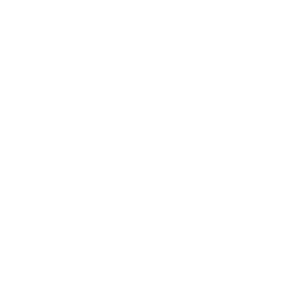Wirecrafters Logo