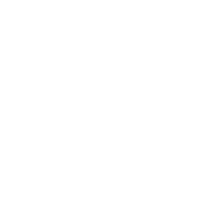 Sportsmetrics Logo