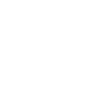 Lightforce Logo