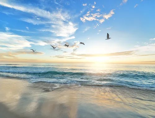 Sunrise over a beach with seagulls flying overhead. 