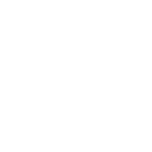 PlayOn Sports Logo