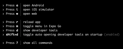 Expo options in terminal