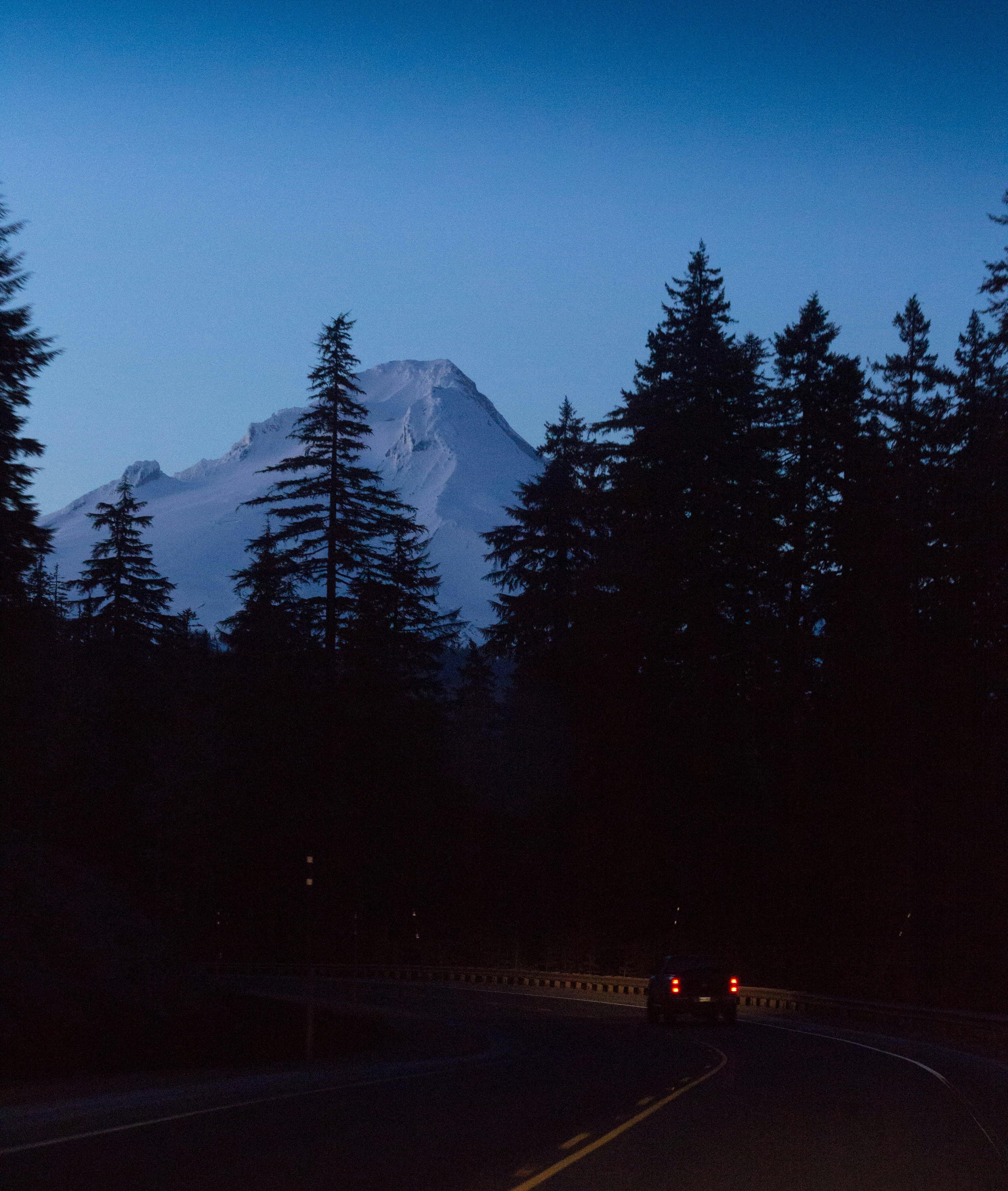 Driving down a highway with a view of Mt. Hood National Forest